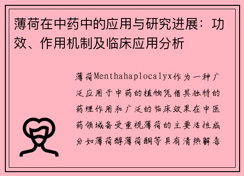 薄荷在中药中的应用与研究进展：功效、作用机制及临床应用分析